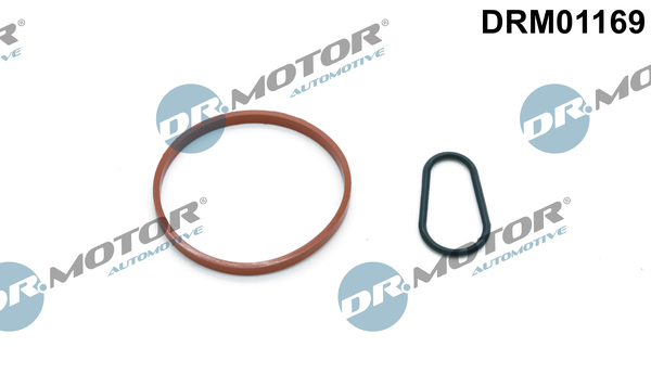 DR.MOTOR AUTOMOTIVE Pakningssæt, vakuumpumpe drm01169 for PEUGEOT FORD