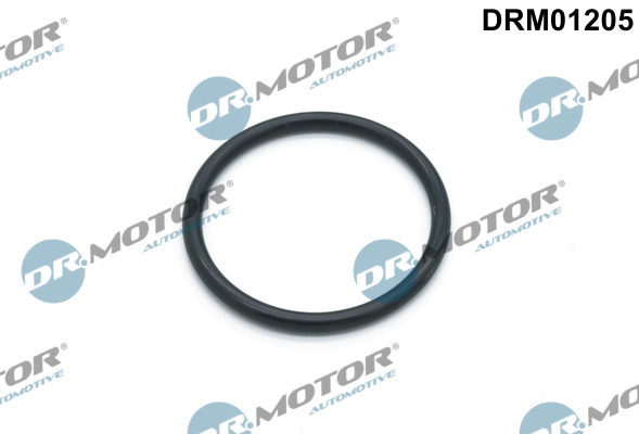 DR.MOTOR AUTOMOTIVE Pakning, vandpumpe drm01205 for BMW