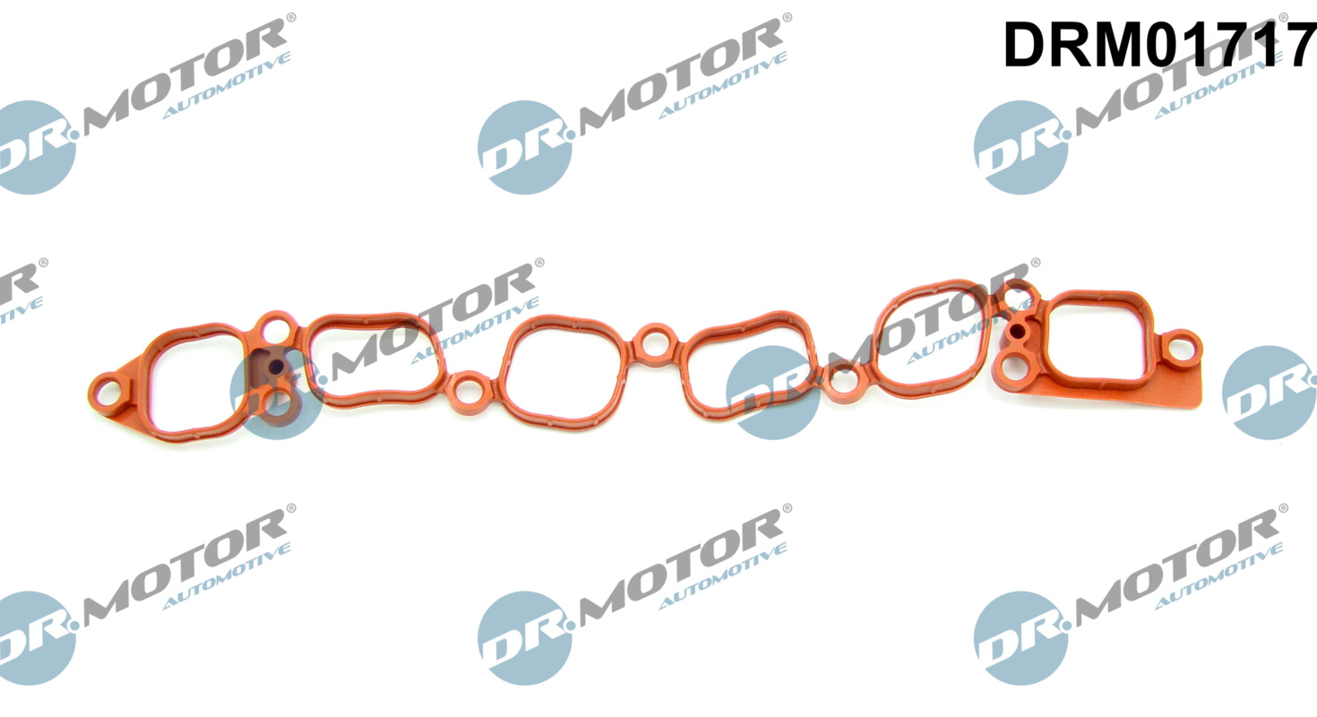DR.MOTOR AUTOMOTIVE Pakning, indsugningsmanifold drm01717 for FORD VW