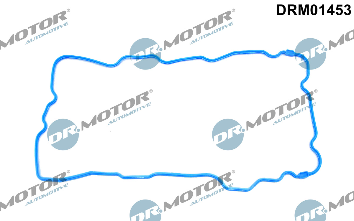 DR.MOTOR AUTOMOTIVE Pakning, bundkar drm01453 for FORD MAZDA