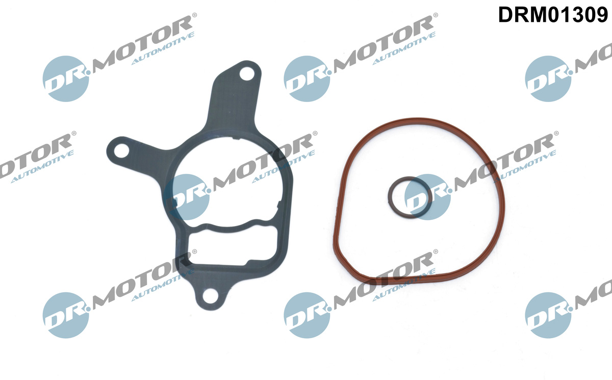 DR.MOTOR AUTOMOTIVE Pakningssæt, vakuumpumpe drm01309 for CUPRA