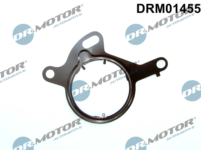 DR.MOTOR AUTOMOTIVE Pakning, vakuumpumpe drm01455 for FORD VOLVO