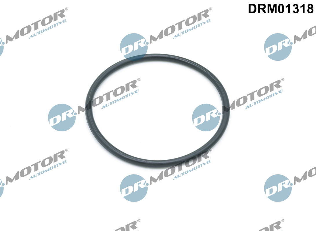 DR.MOTOR AUTOMOTIVE Pakning, oliefilterhus drm01318 for JAGUAR