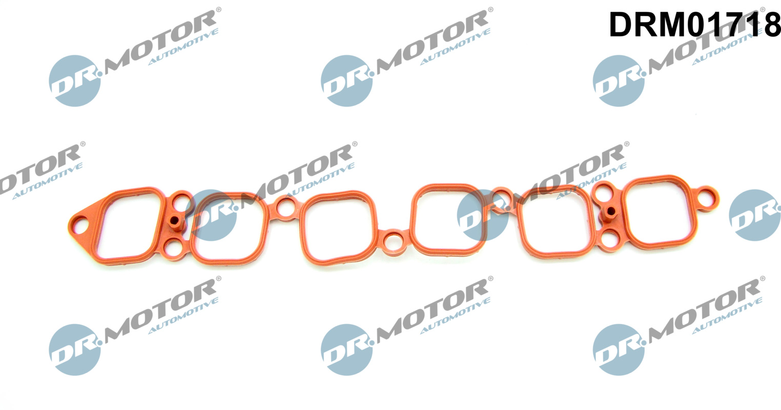 DR.MOTOR AUTOMOTIVE Pakning, indsugningsmanifold drm01718 for VW PORSCHE