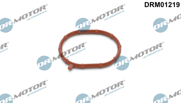 DR.MOTOR AUTOMOTIVE Pakningsring, turboladerslange drm01219 Indsugningsmanifould for AUDI