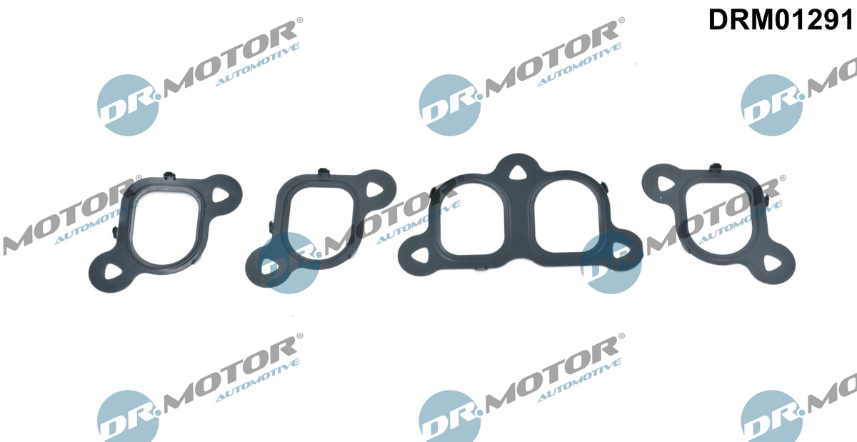DR.MOTOR AUTOMOTIVE Pakningssæt, indsugningsmanifold drm01291 for VW