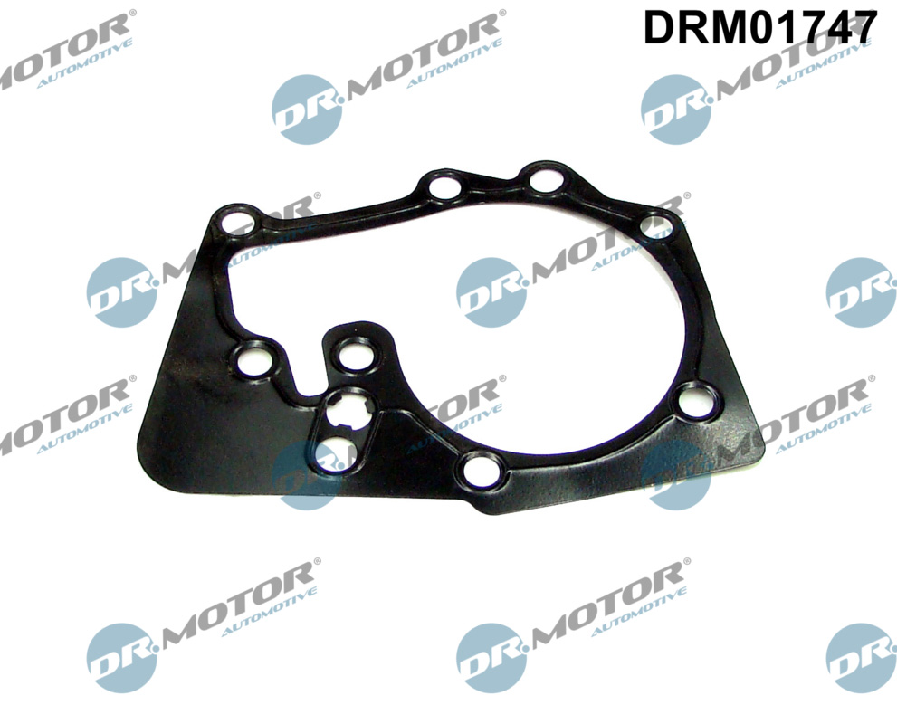 DR.MOTOR AUTOMOTIVE Pakning, vandpumpe drm01747 for RENAULT