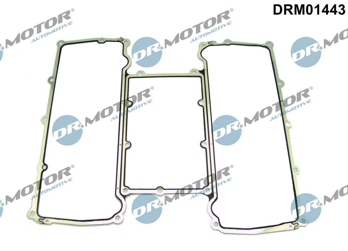 DR.MOTOR AUTOMOTIVE Pakning, indsugningsmanifold drm01443 Indtag for LAND ROVER