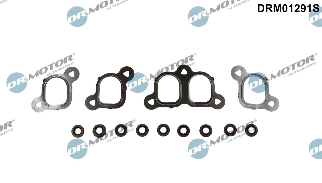 DR.MOTOR AUTOMOTIVE Pakningssæt, indsugningsmanifold drm01291s for VW
