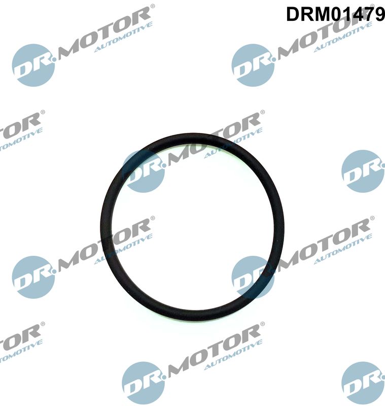 DR.MOTOR AUTOMOTIVE Pakning, indsprøjtningspumpe drm01479 på indersiden for FORD