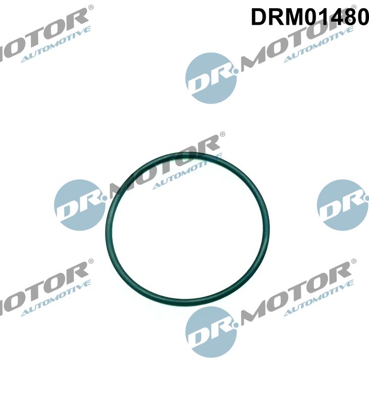 DR.MOTOR AUTOMOTIVE Pakning, indsprøjtningspumpe drm01480 ydre