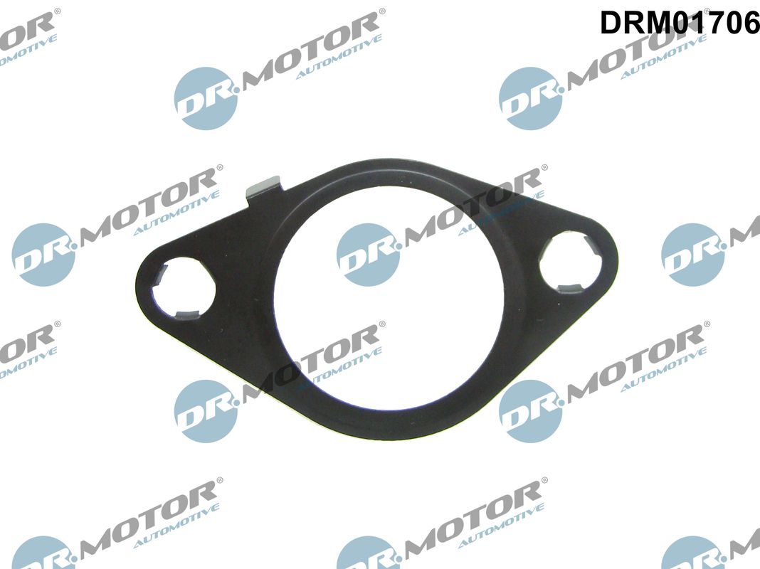 DR.MOTOR AUTOMOTIVE Pakning, AGR (EGR)-ventil drm01706 efter EGR-køler for FORD