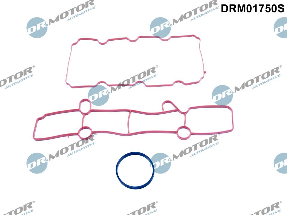 DR.MOTOR AUTOMOTIVE Pakningssæt, indsugningsmanifold drm01750s for FORD