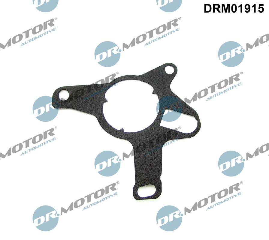 DR.MOTOR AUTOMOTIVE Pakning, vakuumpumpe drm01915 for FORD PEUGEOT