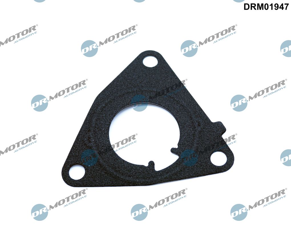 DR.MOTOR AUTOMOTIVE Pakning, vakuumpumpe drm01947 for FIAT