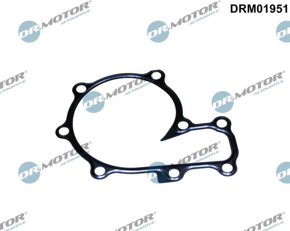 DR.MOTOR AUTOMOTIVE Pakning, vandpumpe drm01951 for FORD