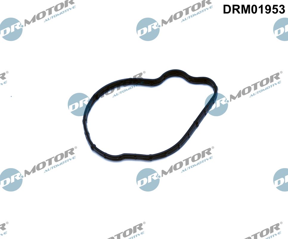 DR.MOTOR AUTOMOTIVE Pakning, indsprøjtningspumpe drm01953 for FORD VOLVO JAGUAR ROVER