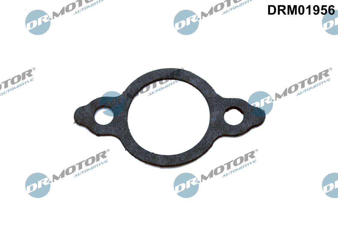 DR.MOTOR AUTOMOTIVE Pakning, ledning AGR-ventil drm01956 for NISSAN