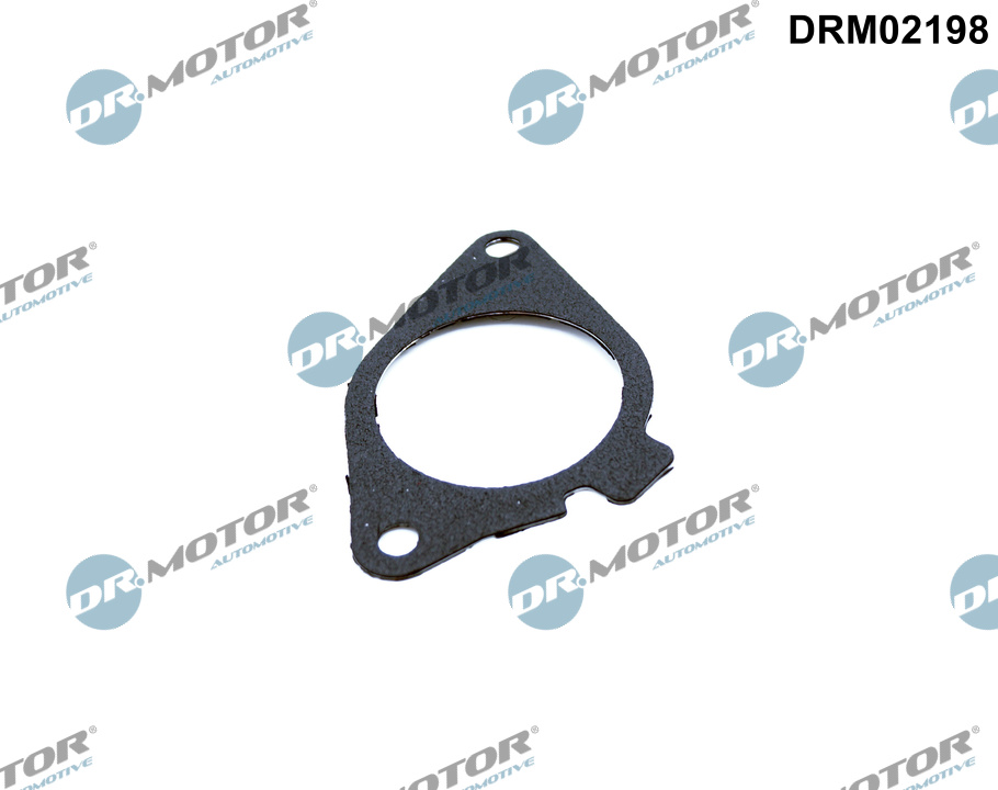 DR.MOTOR AUTOMOTIVE Pakning, AGR (EGR)-ventil drm02198 for BMW