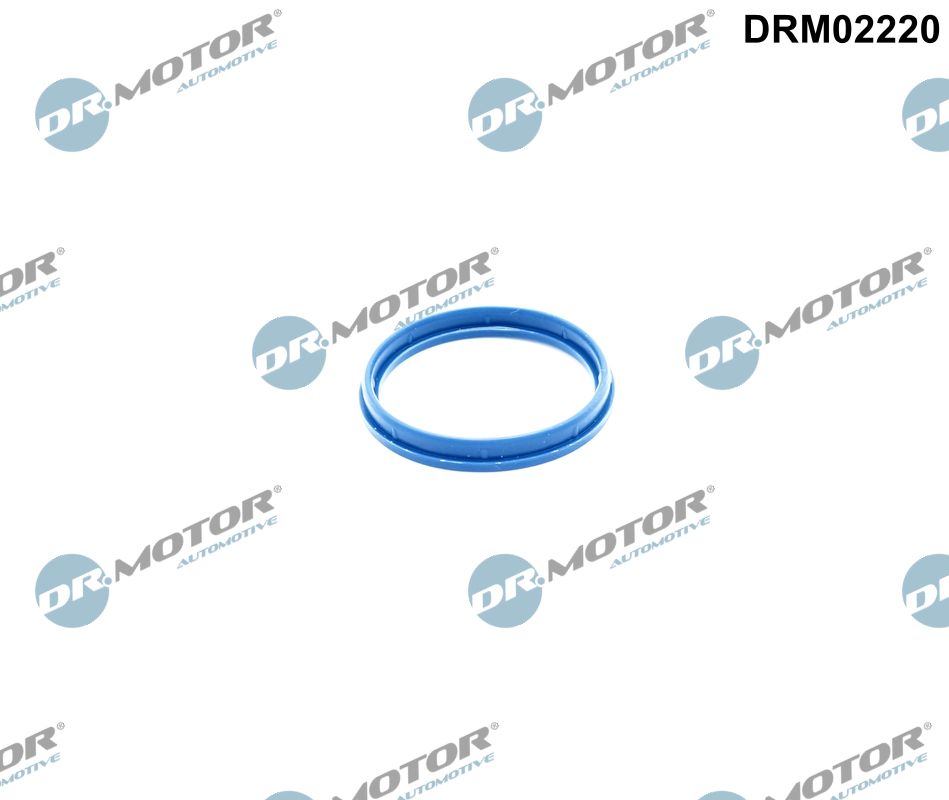 DR.MOTOR AUTOMOTIVE Pakning, indsugningsmanifoldhus drm02220 for FORD PEUGEOT