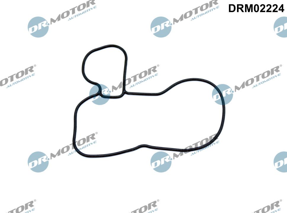 DR.MOTOR AUTOMOTIVE Pakning, oliepumpe drm02224 for FORD MAZDA