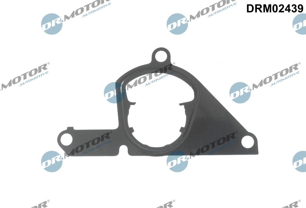 DR.MOTOR AUTOMOTIVE Pakning, vakuumpumpe drm02439 for FORD