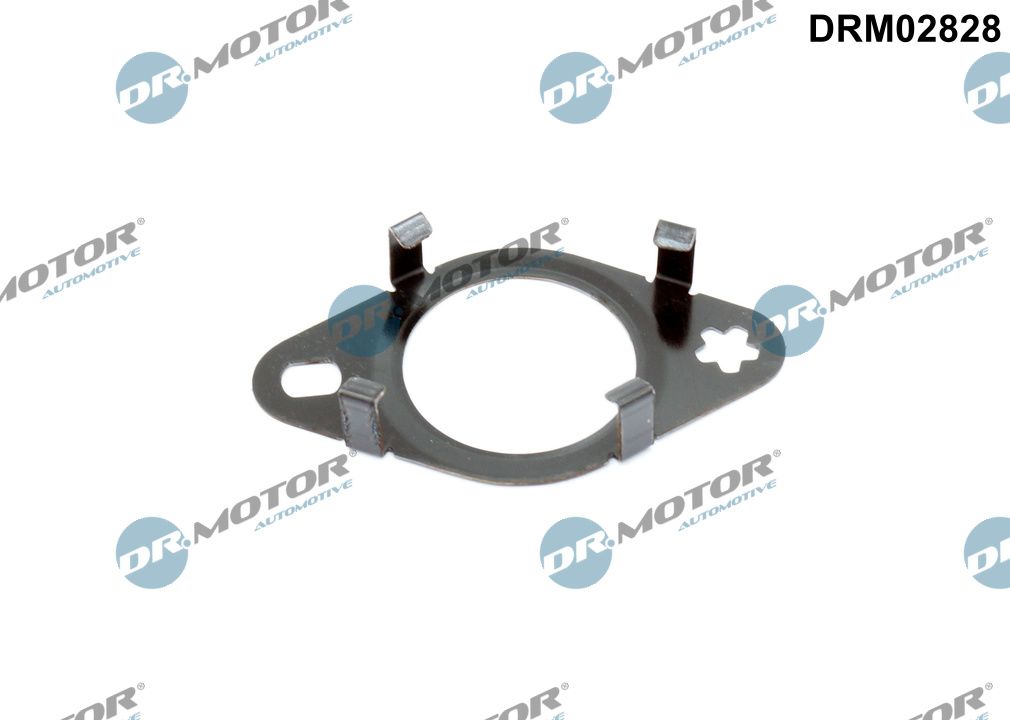 DR.MOTOR AUTOMOTIVE Pakning, ledning AGR-ventil drm02828 for FORD