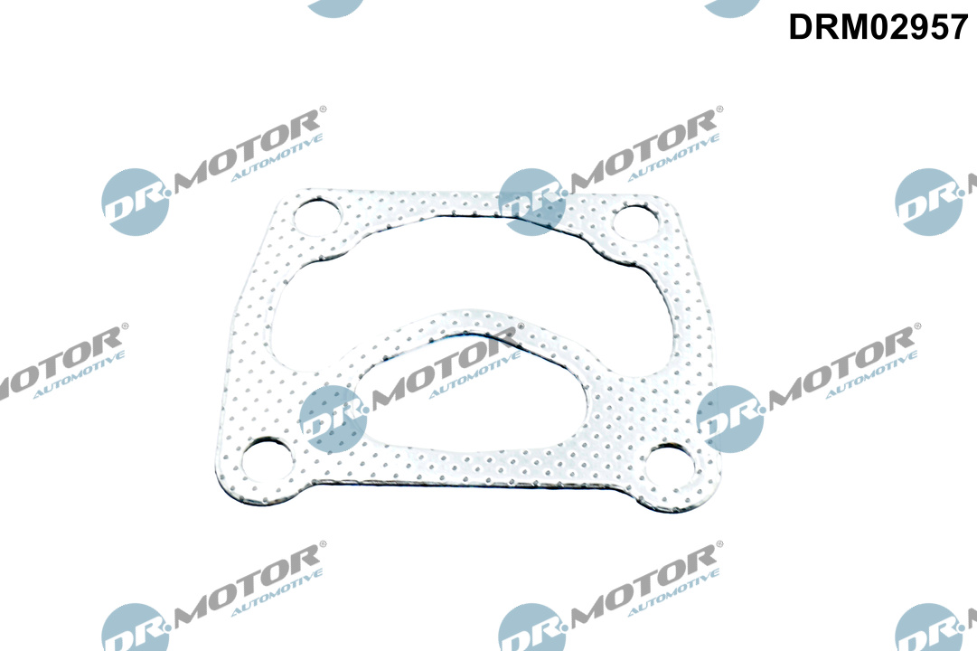 DR.MOTOR AUTOMOTIVE Pakning, turbolader drm02957 for FORD
