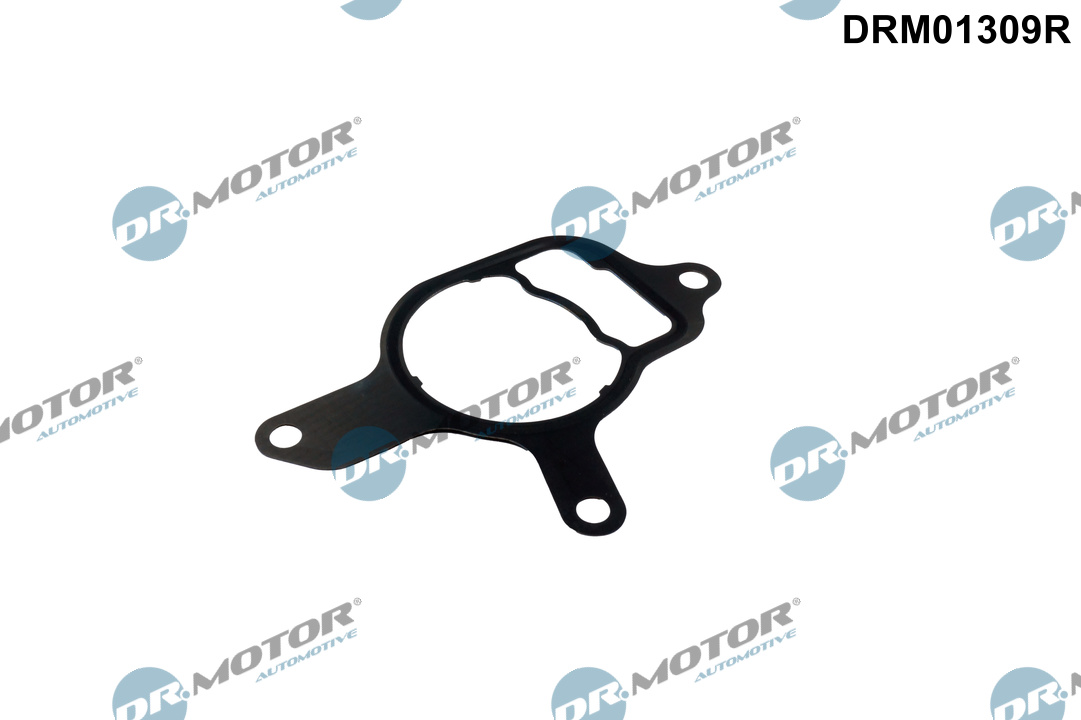 DR.MOTOR AUTOMOTIVE Pakning, vakuumpumpe drm01309r for VW