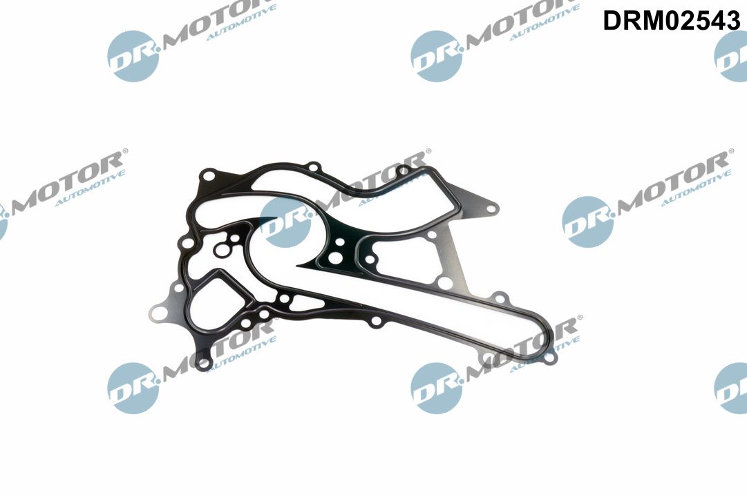 DR.MOTOR AUTOMOTIVE Pakning, vandpumpe DRM02543 for MERCEDES-BENZ