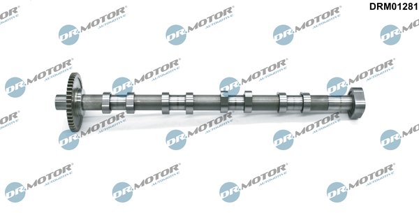DR.MOTOR AUTOMOTIVE Knastaksel DRM01281 for VW