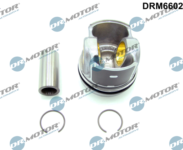 DR.MOTOR AUTOMOTIVE Delmotor drm6602 for FORD