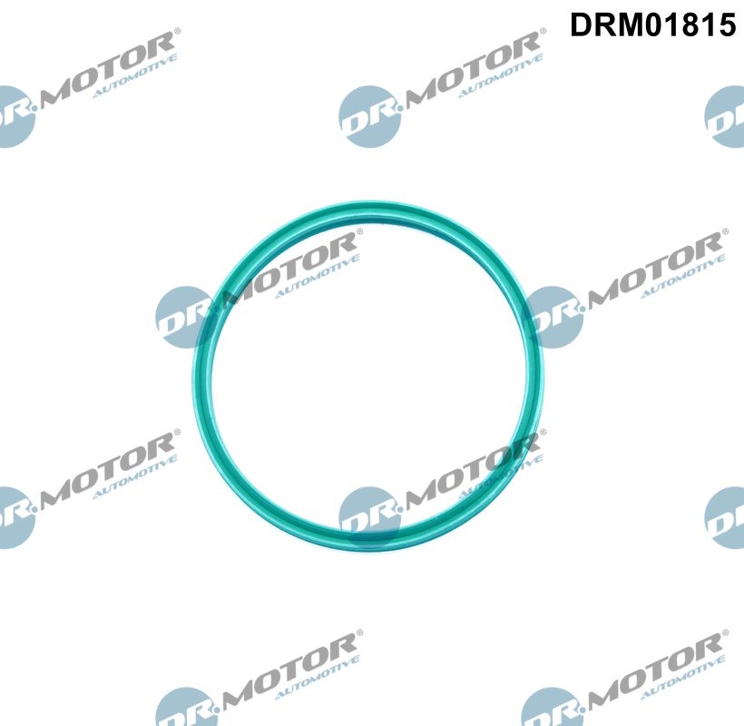 DR.MOTOR AUTOMOTIVE Pakningsring, turboladerslange drm01815 for VW