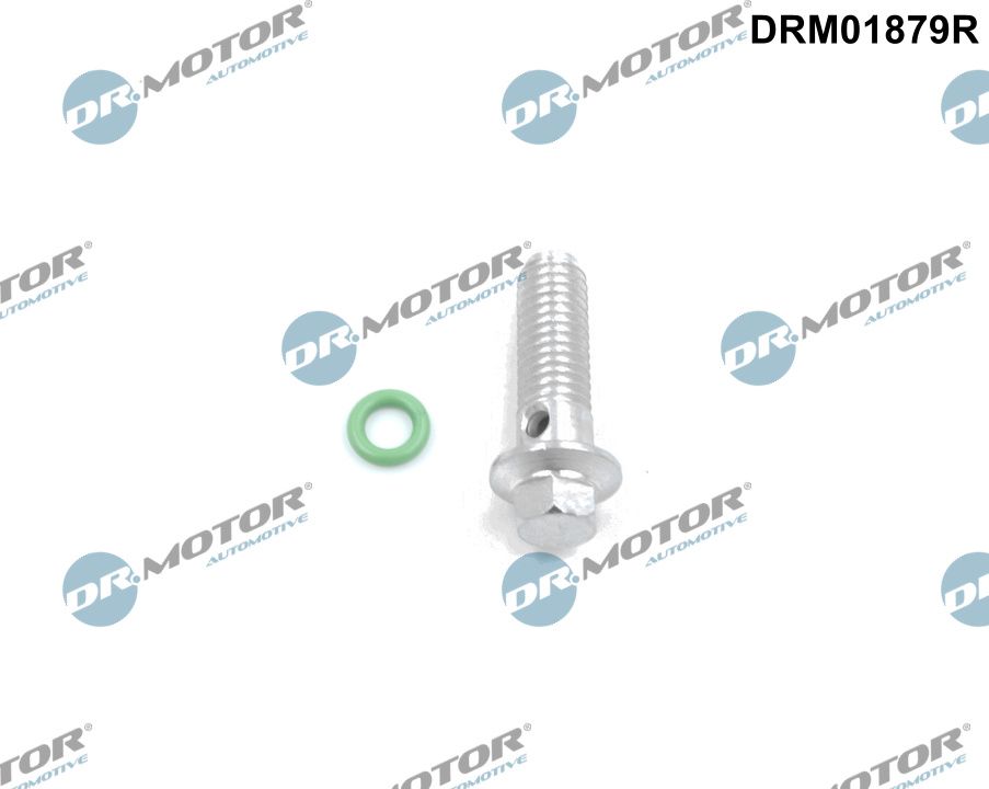 DR.MOTOR AUTOMOTIVE Reparationssæt, oliepumpe drm01879r for FORD PEUGEOT