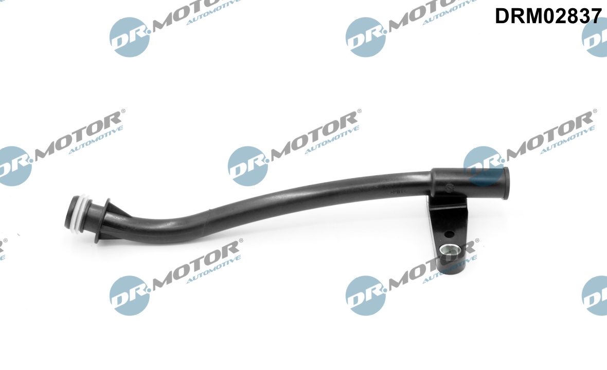 DR.MOTOR AUTOMOTIVE Trakt, oliepind drm02837 for FORD