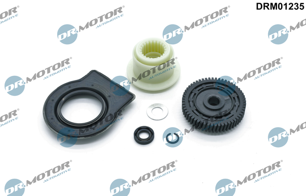 DR.MOTOR AUTOMOTIVE Reparationssæt, gearudgangsaksel (ASG) drm01235 for BMW