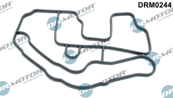 DR.MOTOR AUTOMOTIVE Pakning, termostathus drm0244 for RENAULT