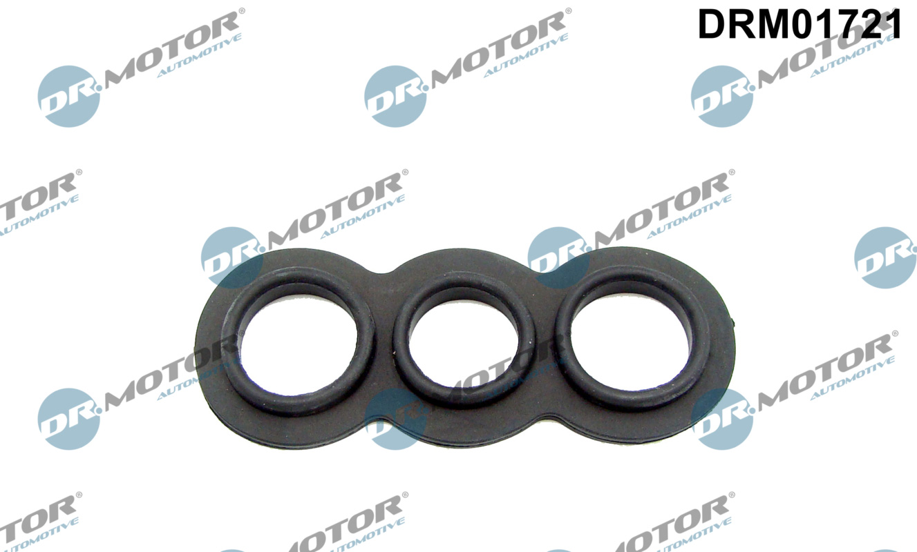 DR.MOTOR AUTOMOTIVE Pakning, termostat-oliekøling DRM01721 for BMW