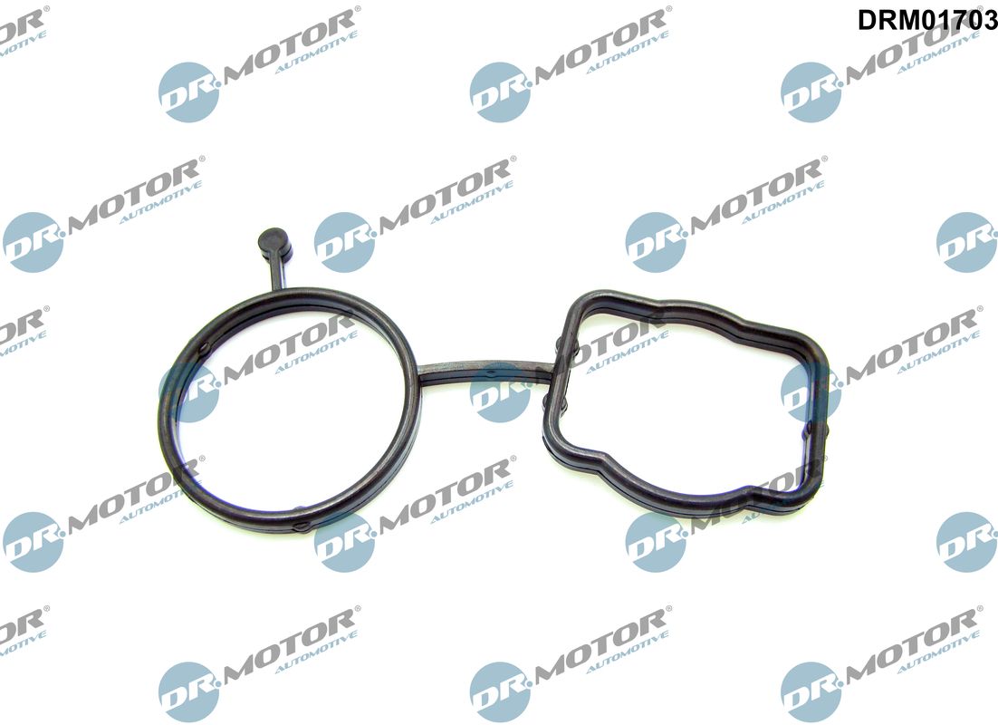 DR.MOTOR AUTOMOTIVE Pakning, termostathus drm01703 for VW