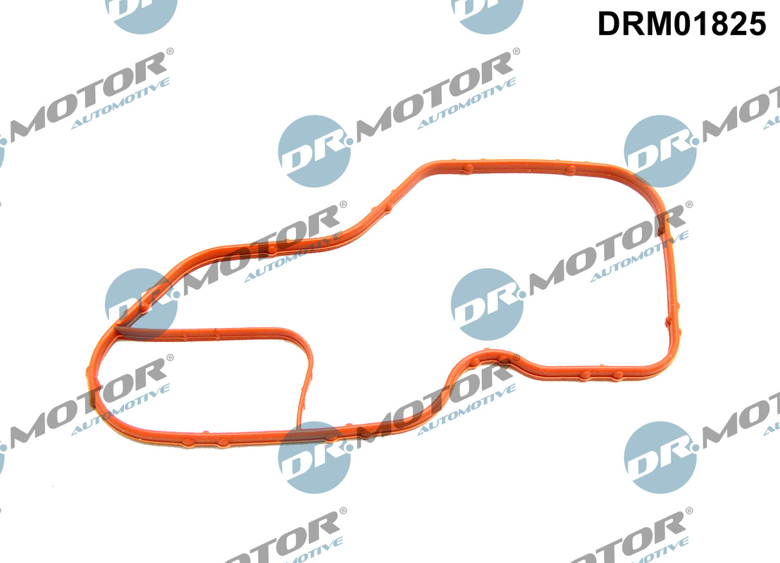 DR.MOTOR AUTOMOTIVE Pakning, termostathus drm01825 gearkasse-monteret for NISSAN DACIA