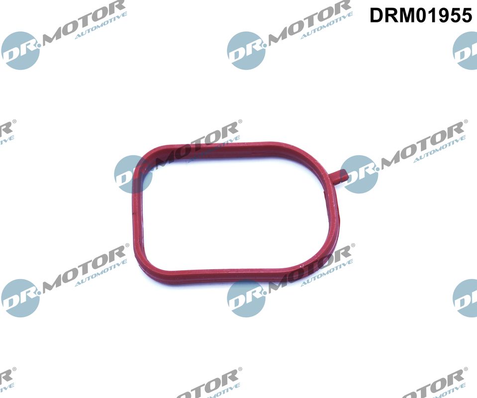 DR.MOTOR AUTOMOTIVE Pakning, termostathus drm01955 for FORD