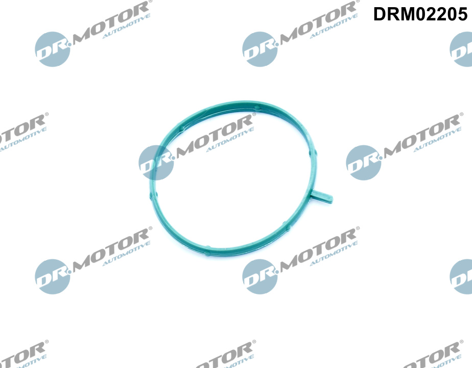 DR.MOTOR AUTOMOTIVE Pakning, termostathus drm02205 for VOLVO