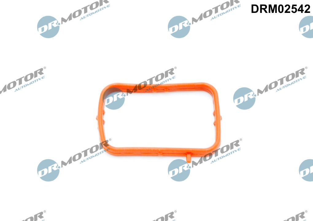 DR.MOTOR AUTOMOTIVE Pakning, termostathus DRM02542 for MERCEDES-BENZ