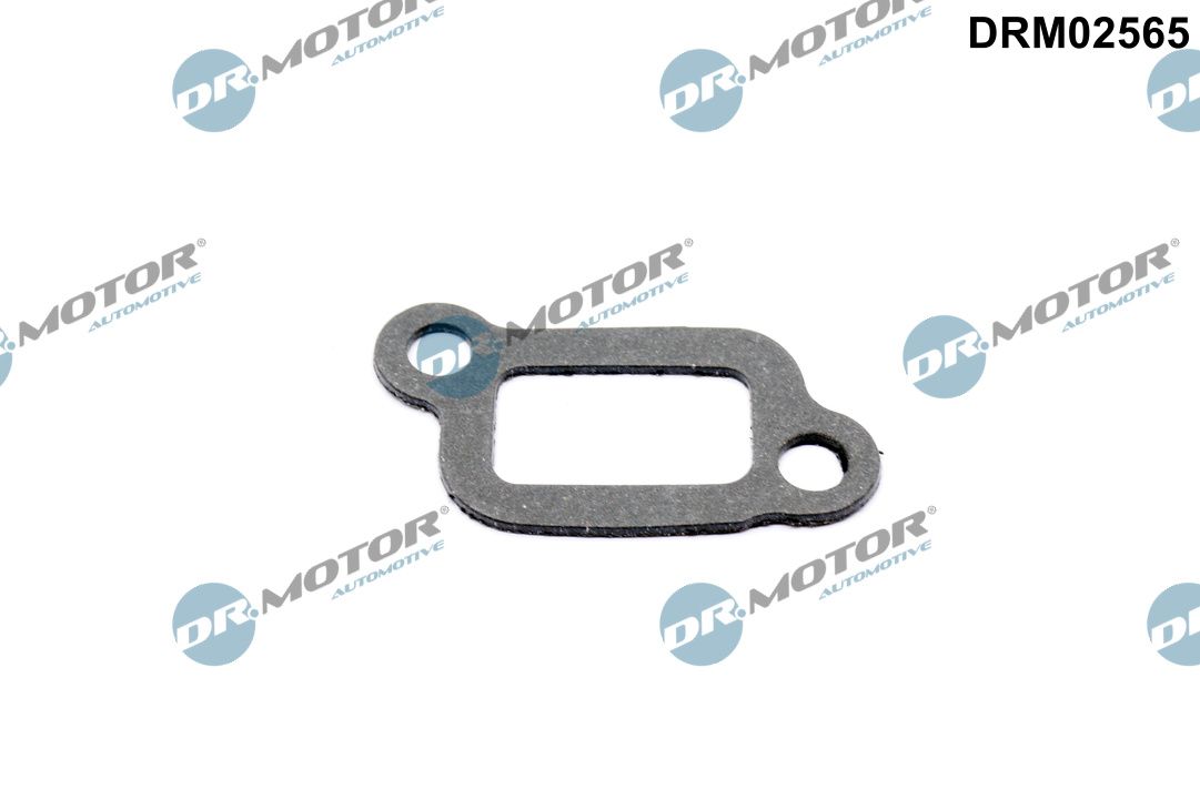 DR.MOTOR AUTOMOTIVE Pakning, termostathus drm02565 for BMW
