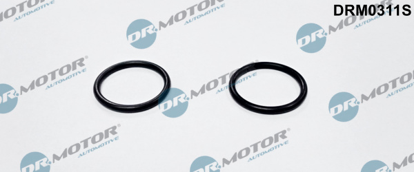 DR.MOTOR AUTOMOTIVE Pakning, varmeslange drm0311s for FORD