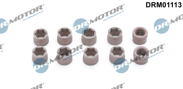 DR.MOTOR AUTOMOTIVE Reperationssæt, klimaanlæg drm01113 for PEUGEOT