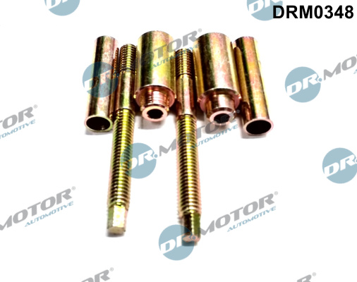DR.MOTOR AUTOMOTIVE Skrue, indsprøjtningsdyseholder drm0348 for GENERAL MOTORS NISSAN RENAULT