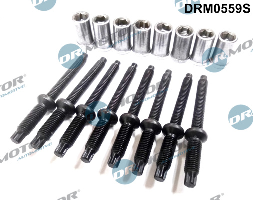 DR.MOTOR AUTOMOTIVE Skrue, indsprøjtningsdyseholder drm0559s for PEUGEOT