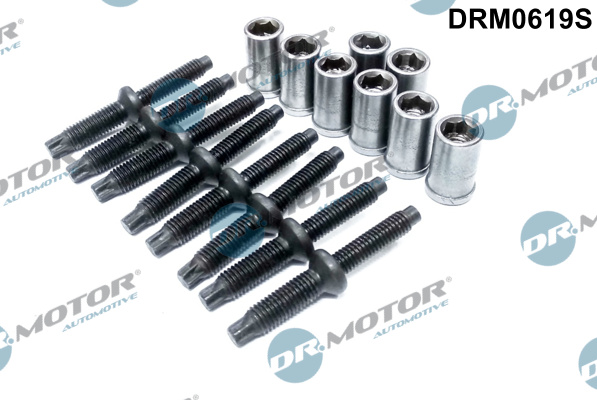 DR.MOTOR AUTOMOTIVE Skrue, indsprøjtningsdyseholder drm0619s for PEUGEOT