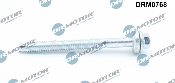 DR.MOTOR AUTOMOTIVE Skrue, indsprøjtningsdyseholder drm0768 for OPEL NISSAN RENAULT